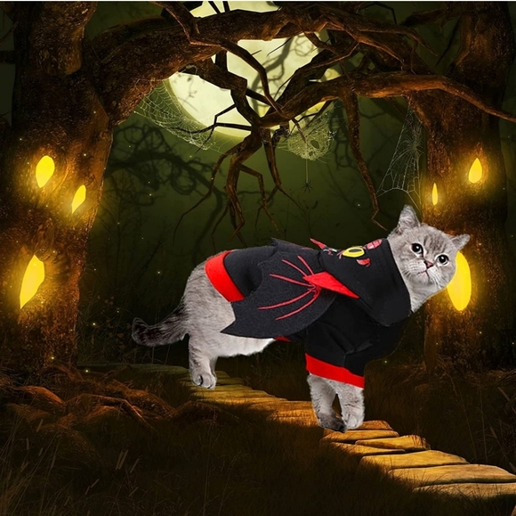 Cat or Dog Bat Wings Costume - Picture 1 of 4